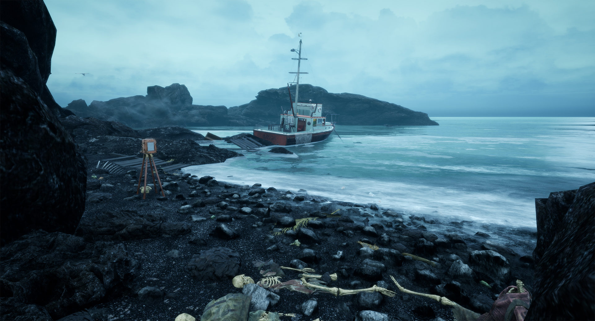 The Shore